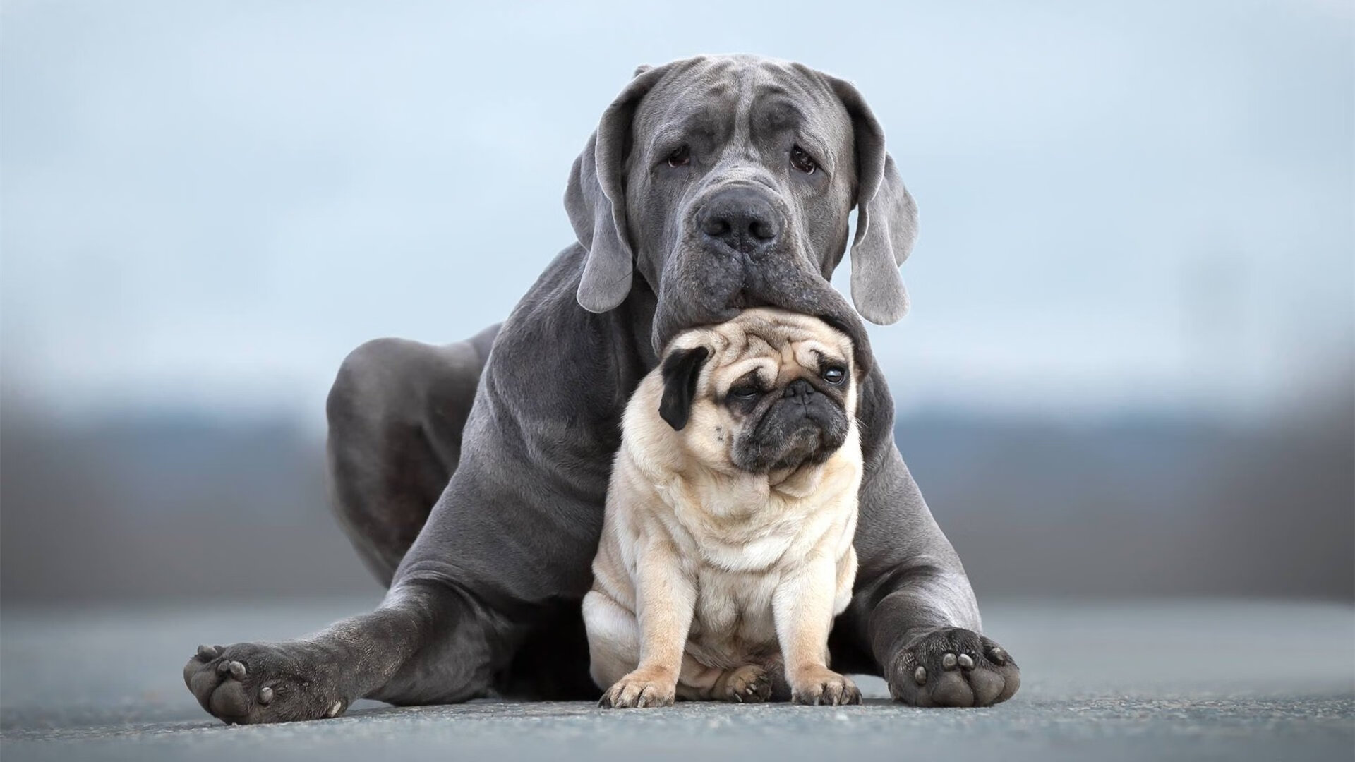 国王驾临!39岁詹姆斯末节15分撕碎绿军,奥运前最后宣言